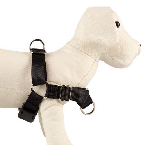 TK-Pet doble enganche arn&eacute;s educativo para perros Imagem n&uacute;mero 1