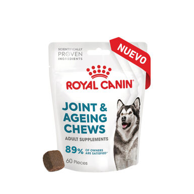 Royal Canin Joint & Aging Chews Suplemento Nutricional para cães com sensibilidade articular