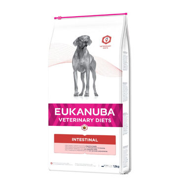 Eukanuba Veterinary Diets Intestinal ração para cães