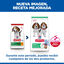 2.5 kg Hill's Science Plan Puppy Medium Ra&ccedil;&atilde;o de cordeiro e arroz para c&atilde;es, , large Indicador imagem n&uacute;mero 3