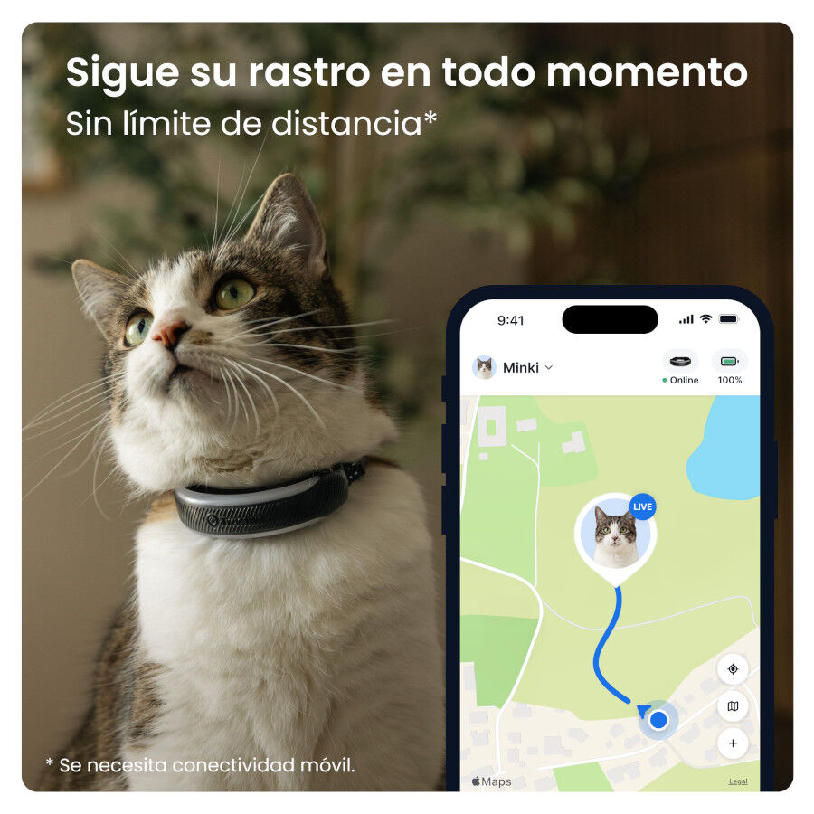 Tractive CAT 6 Mini Preto GPS para gatos, , large Imagem n&uacute;mero 2