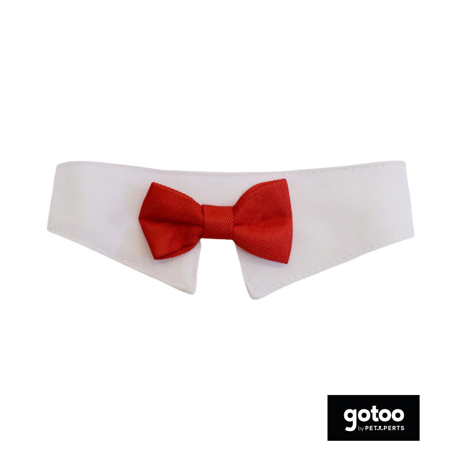 Gotoo La&ccedil;o vermelho para gatos, , large Imagem n&uacute;mero 2