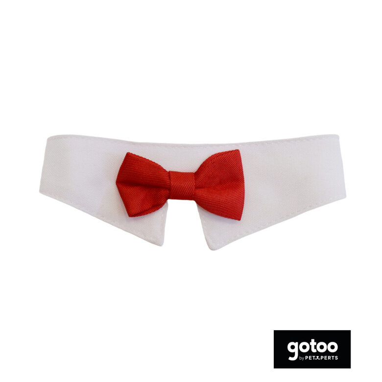 Gotoo Laço vermelho para gatos,  Imagem número 2 Gotoo Laço vermelho para gatos, , large Imagem número 2