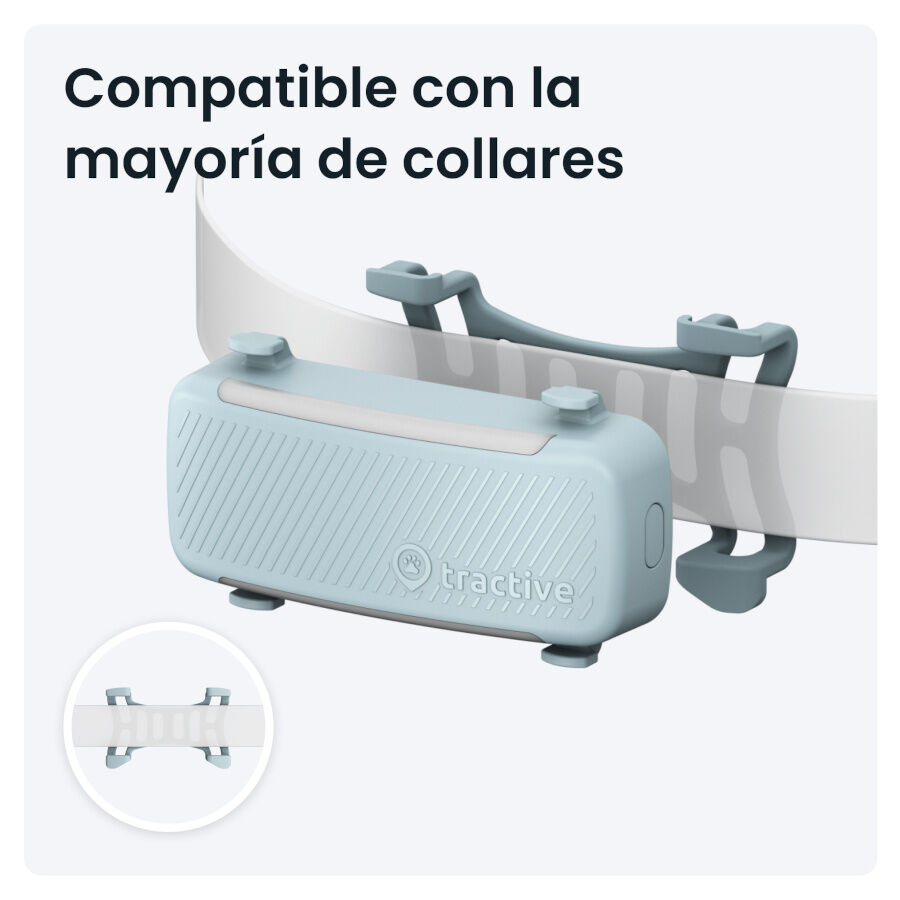 Tractive GPS Dog 6 Rastreador Mint de c&atilde;es , , large Imagem n&uacute;mero 3