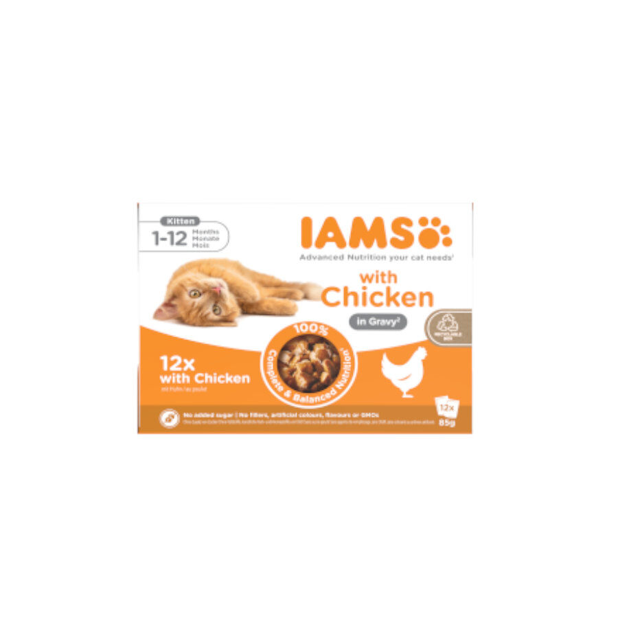 12 saquetas x 85 g IAMS Delights Frango saqueta em molho para gatinhos, , large Imagem n&uacute;mero 1