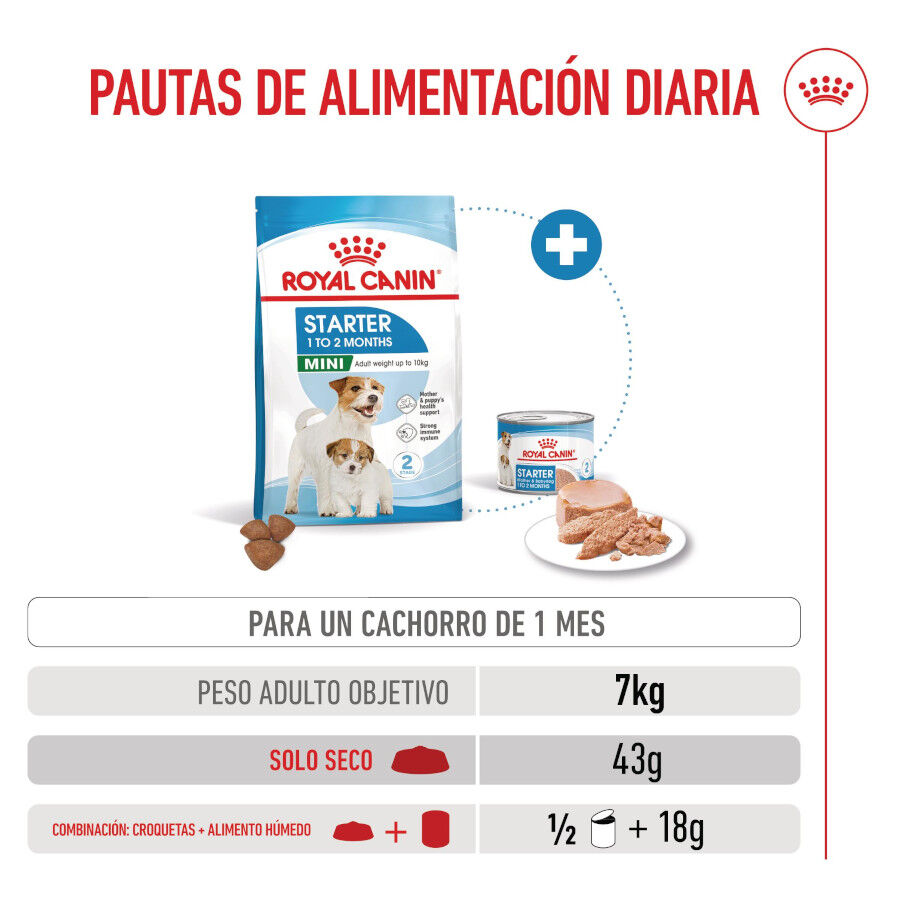 Royal Canin Mini Starter MothereBaby ra&ccedil;&atilde;o para c&atilde;es, , large Imagem n&uacute;mero 8