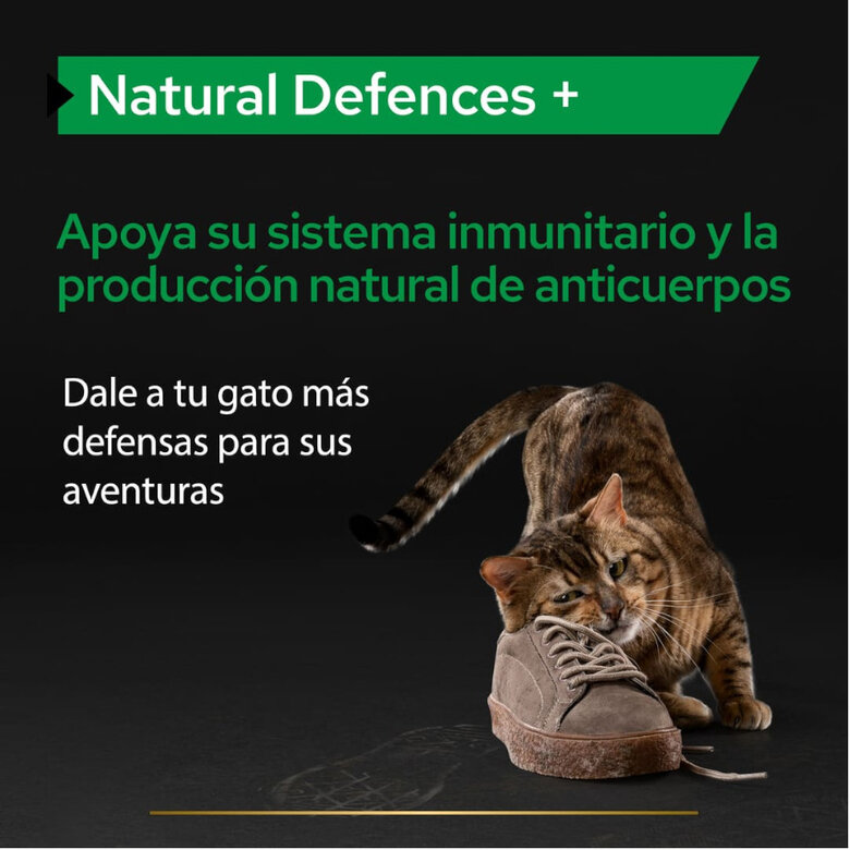 60 g Pro Plan Natural Defences Suplemento para gatos,  Imagem número 3 60 g Pro Plan Natural Defences Suplemento para gatos, , large Imagem número 3