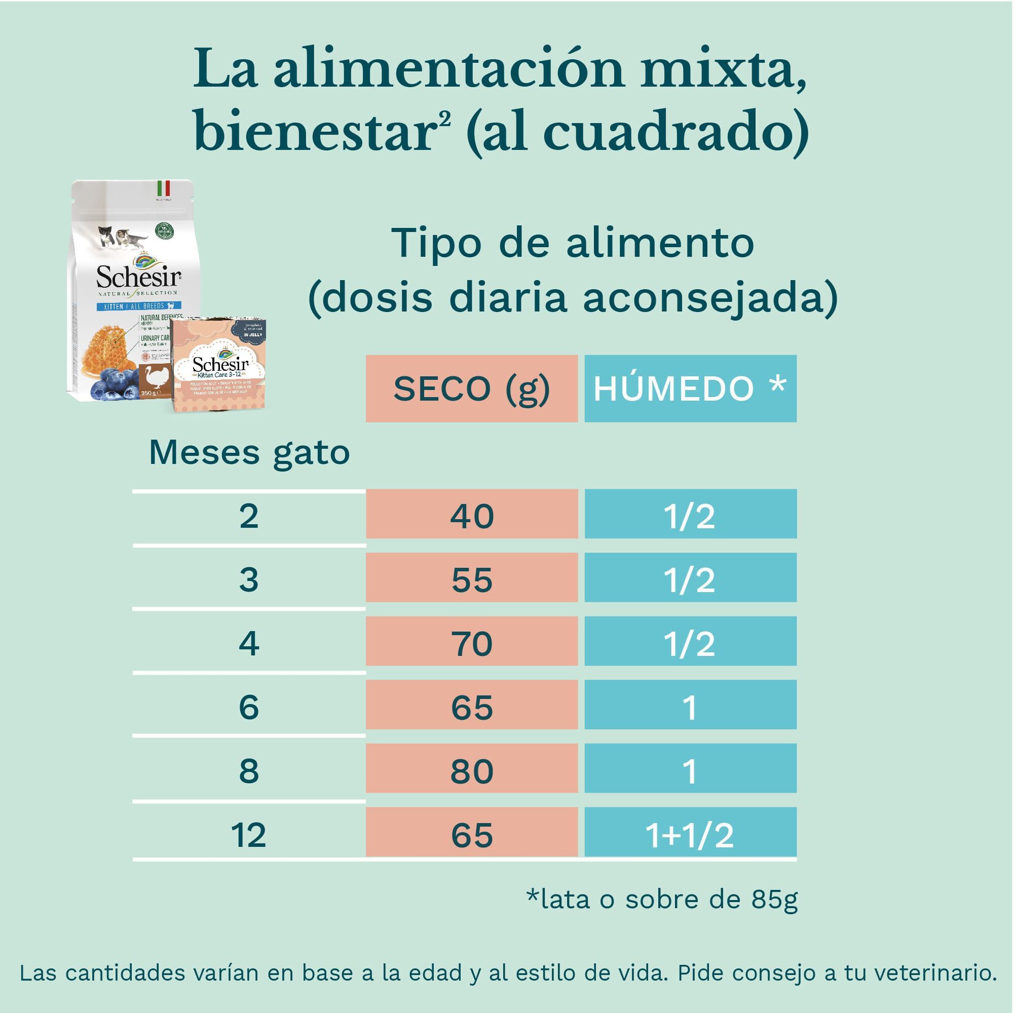 85 g Schesir Kitten Frango com Alo&eacute; lata para gatos, , large Imagem n&uacute;mero 6