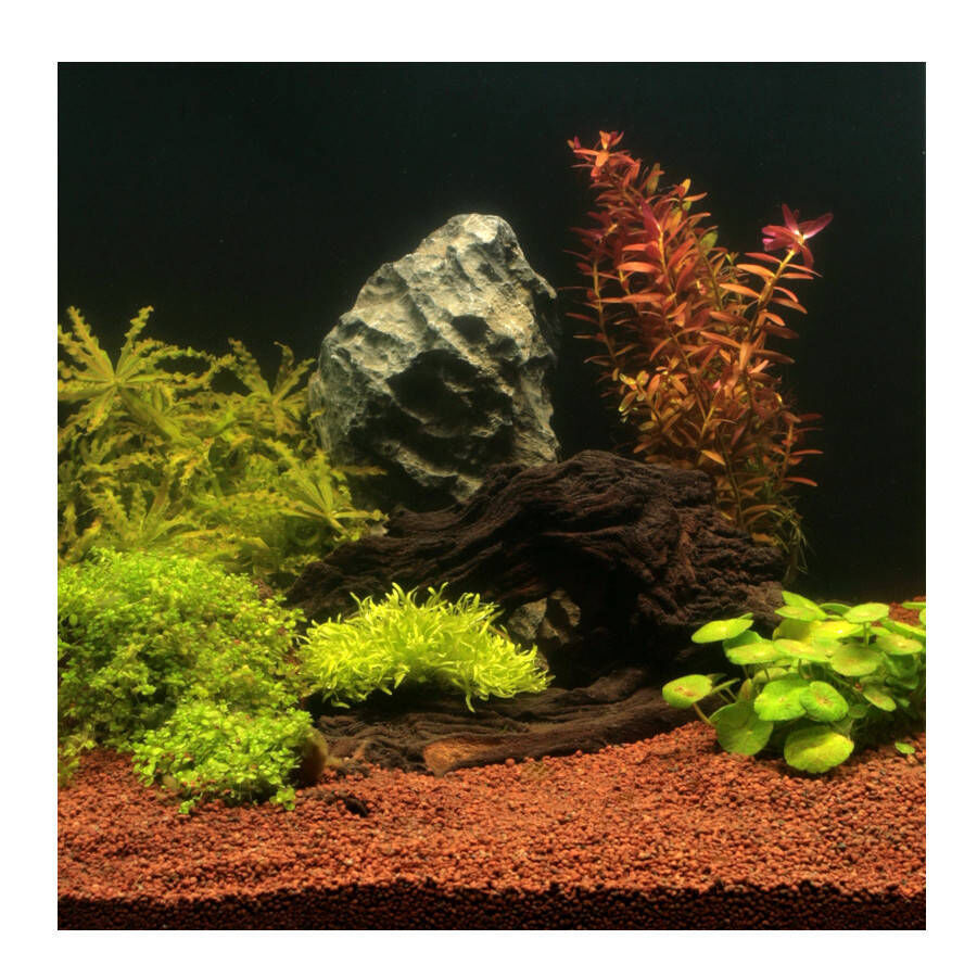 JBL Manado Substrato natural para aqu&aacute;rios de &aacute;gua doce, , large Imagem n&uacute;mero 3