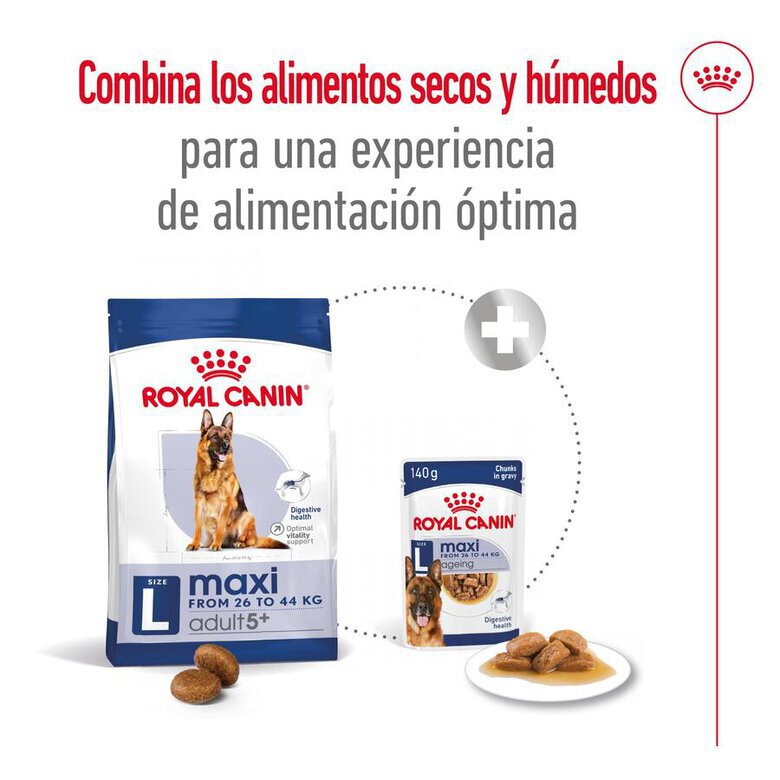 15 kg Royal Canin Maxi Adult 5+ ração para cães seniores de raça grande,  Imagem número 10 15 kg Royal Canin Maxi Adult 5+ ração para cães seniores de raça grande, , large Imagem número 10