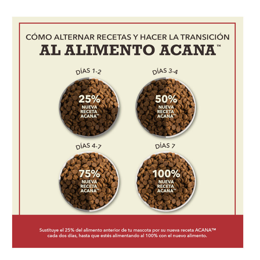 11.4 kg Acana Red Meat ra&ccedil;&atilde;o para c&atilde;es, , large Imagem n&uacute;mero 8
