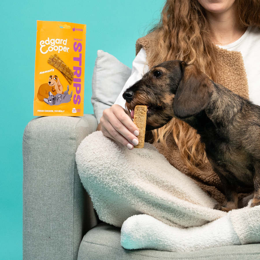 75 g Edgard y Cooper Tiras de Frango para c&atilde;es, , large Imagem n&uacute;mero 3