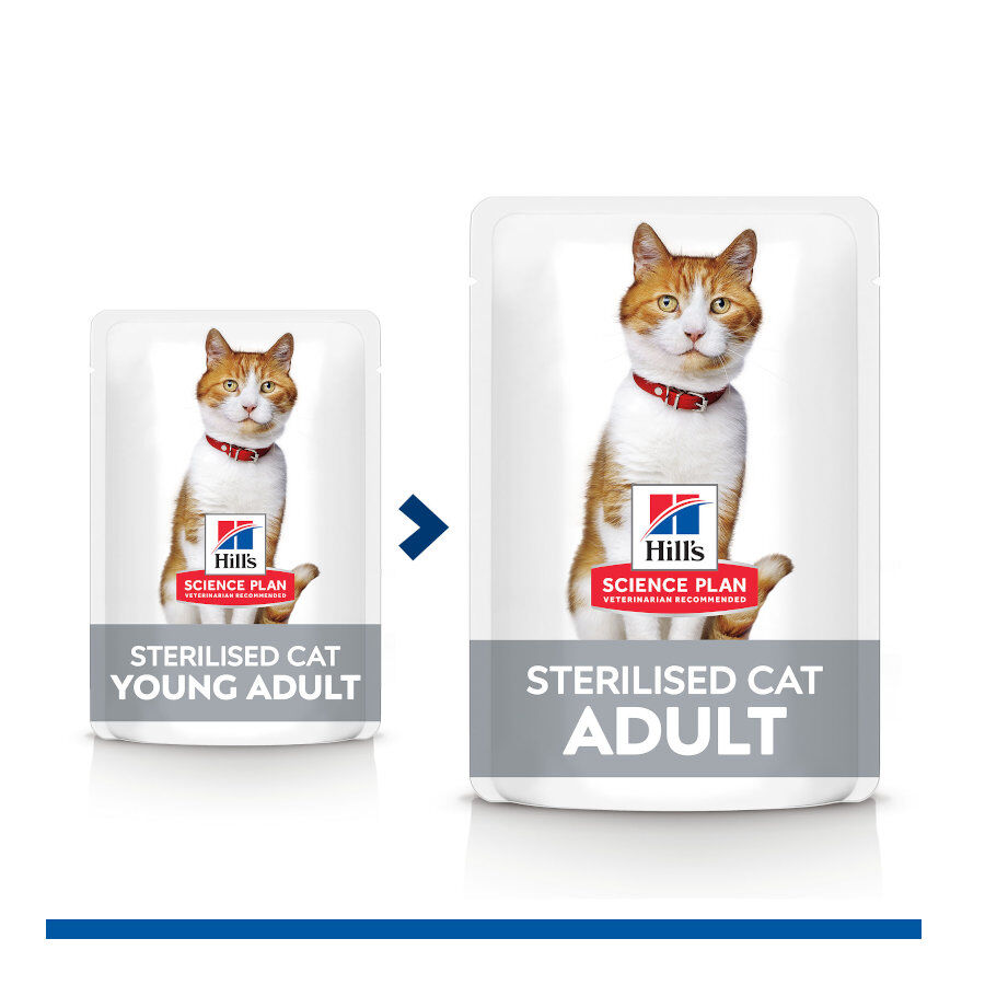 12 saquetas x 85 g Hill's Young Adult Science Plan Sterilised Carne e Peixe saqueta para gatos - Multipack 12, , large Imagem n&uacute;mero 6