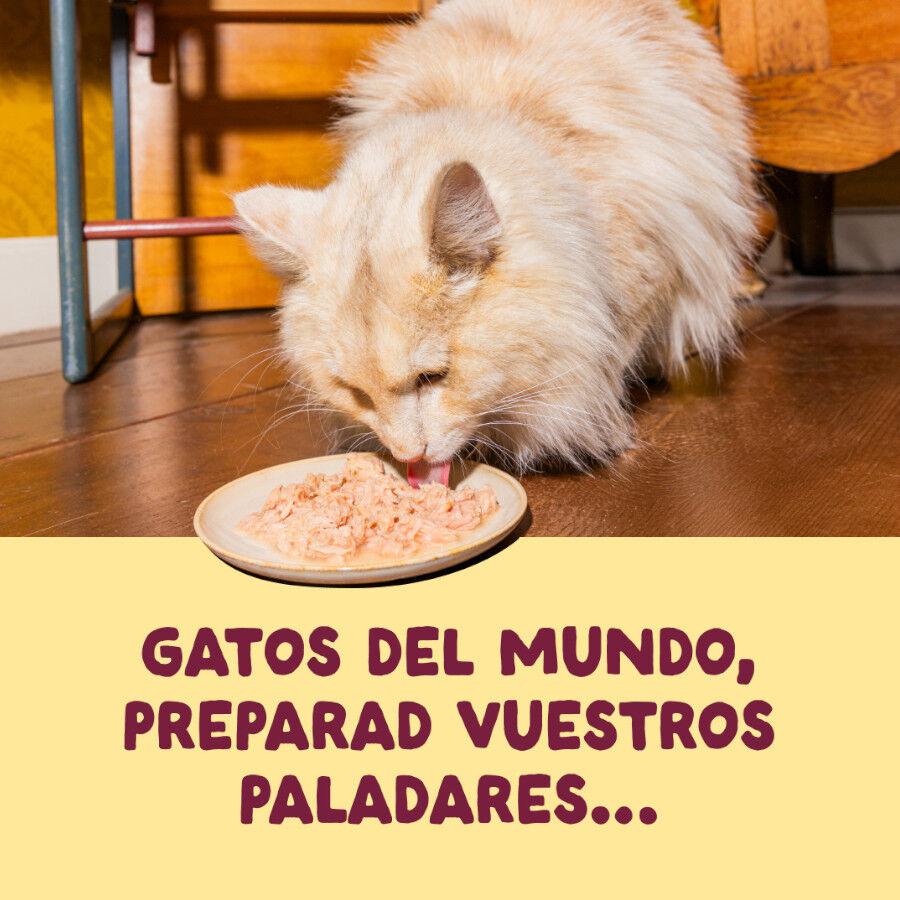 70 g Edgard & Cooper Filetes de Pollo y Pavo Lata para gatos, , large Imagem n&uacute;mero 2