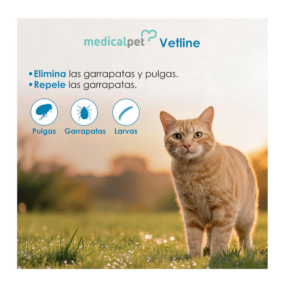 2 colares x 38 cm Medicalpet Vetline Coleira antiparasit&aacute;ria para gatos Pack poupan&ccedil;a!, , large Imagem n&uacute;mero 4
