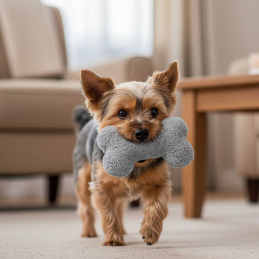 Tootoy! Comfort Peluche Osso para c&atilde;es, , large Imagem n&uacute;mero 1