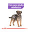 8 kg Royal Canin Mini Sterilised ração para cães, , large Indicador imagem número 5