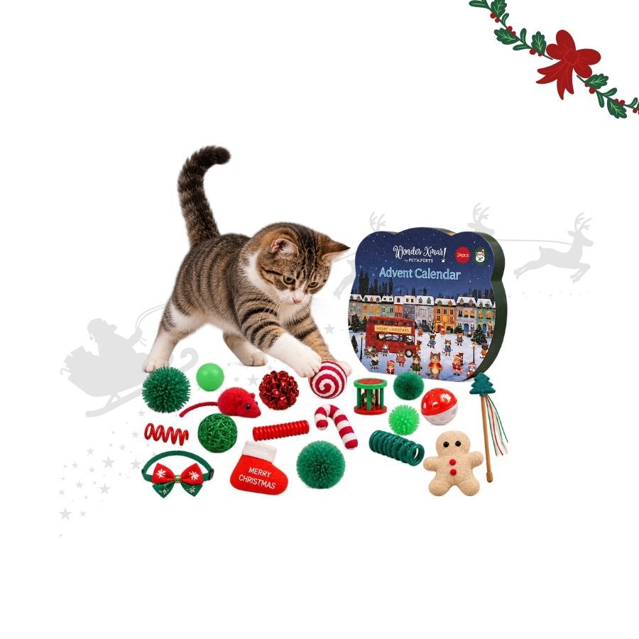 Wonder Christmas Calend&aacute;rio do Advento para gatos, , large Imagem n&uacute;mero 1