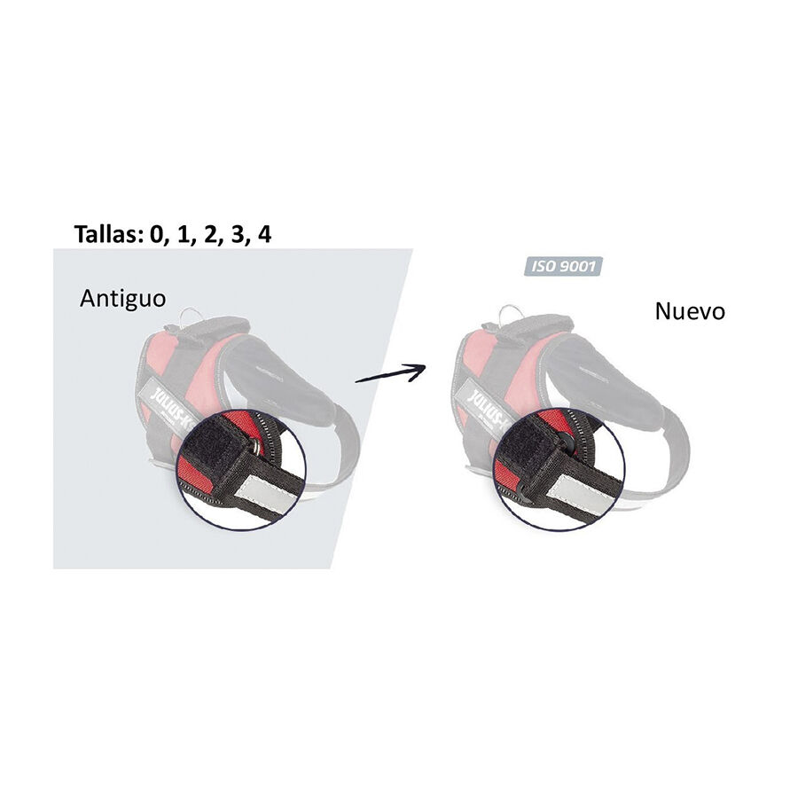 Julius-K9 IDC Peitoral Vermelho para c&atilde;es, , large Imagem n&uacute;mero 6