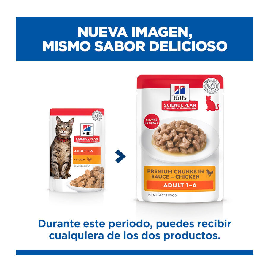 85 g Hill's Science Plan Adult Frango saqueta para gatos, , large Imagem n&uacute;mero 3