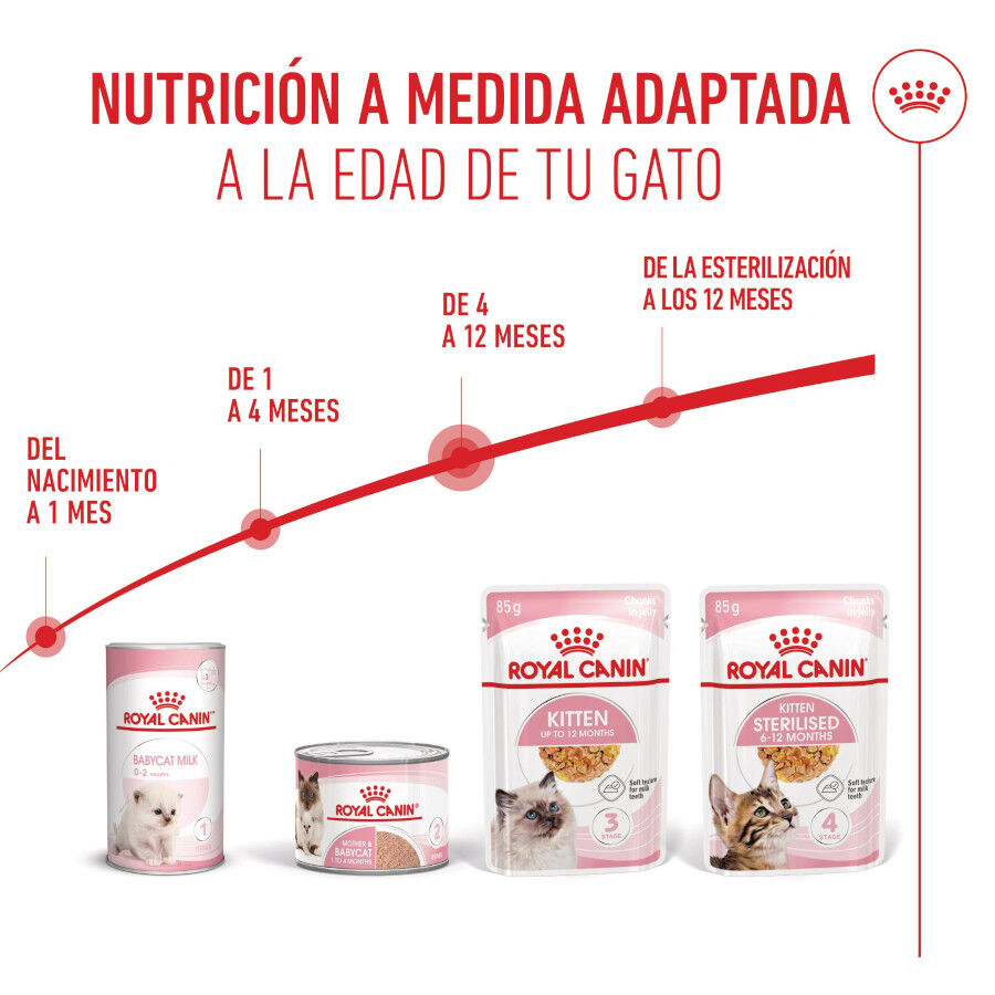85 g Royal Canin Kitten alimento h&uacute;mido em gelatina saquetas para gatinhos, , large Imagem n&uacute;mero 6