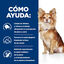 Hill's Prescription Diet Dental Care t/d Ração de frango para cães pequenos, , large Indicador imagem número 4