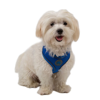 TK-Pet Soft Peitoral Refletor Azul para cães