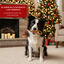 130 g Wonder Christmas Snack Laço de Natal para cães, , large Indicador imagem número 4