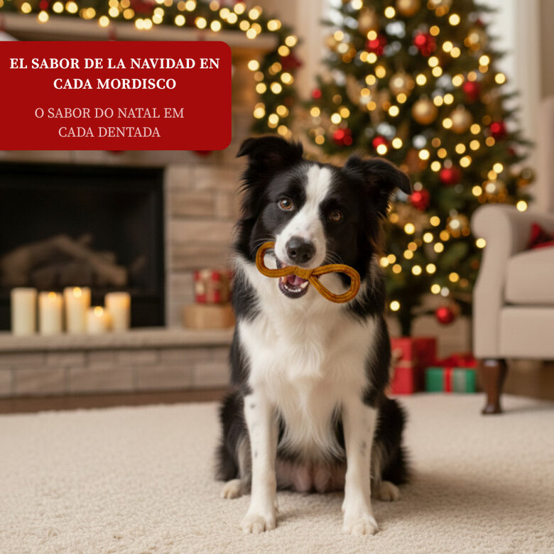 130 g Wonder Christmas Snack Laço de Natal para cães,  Imagem número 4 130 g Wonder Christmas Snack Laço de Natal para cães, , large Imagem número 4