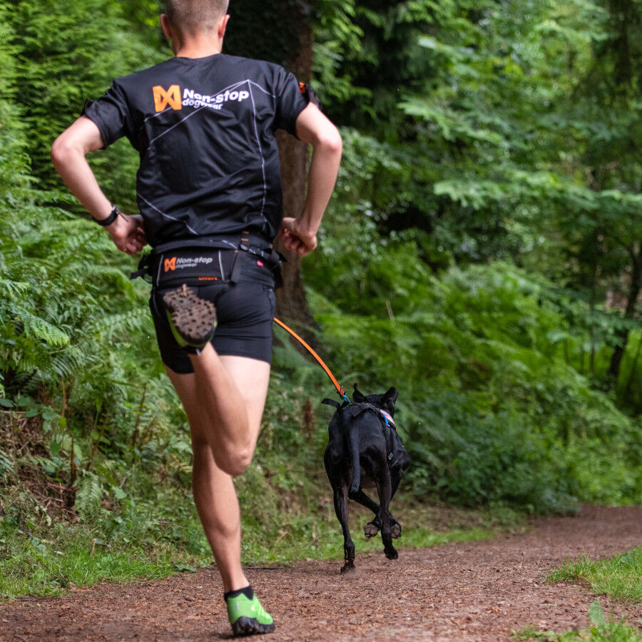 Non-stop dogwear Bungee Trela el&aacute;stica preta e laranja para c&atilde;es, , large Imagem n&uacute;mero 8