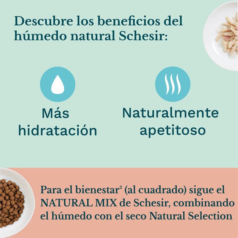 85 g Schesir Kitten Atum com Aloé lata para gatos,  Imagem número 5 85 g Schesir Kitten Atum com Aloé lata para gatos, , large Imagem número 5