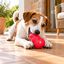 Kong Classic Porta-Snacks Vermelho para c&atilde;es, , large Indicador imagem n&uacute;mero 1