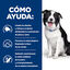 Hill's Prescription Diet t/d Dental Care Ração de frango para cães médios, , large Indicador imagem número 4
