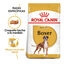 12 kg Royal Canin Adult Boxer ração para cães, , large Indicador imagem número 2