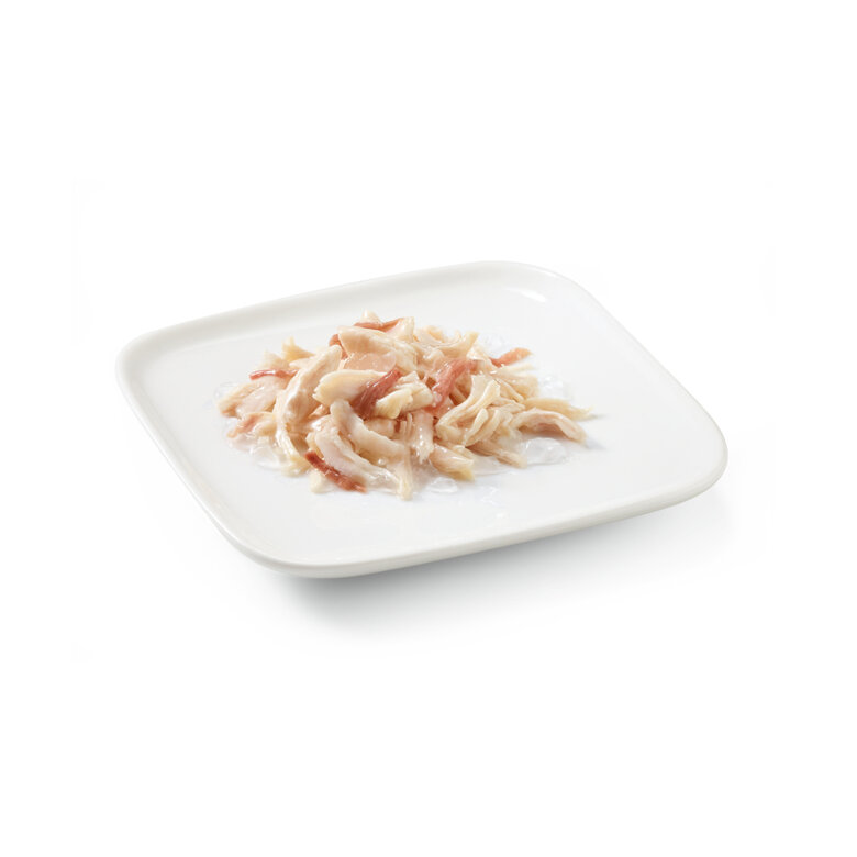 150 g Schesir Adult Atum em Gelatina em lata para cães,  Imagem número 2 150 g Schesir Adult Atum em Gelatina em lata para cães, , large Imagem número 2