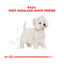 Royal Canin Adult White Terrier West Highland ração para cães, , large Indicador imagem número 3