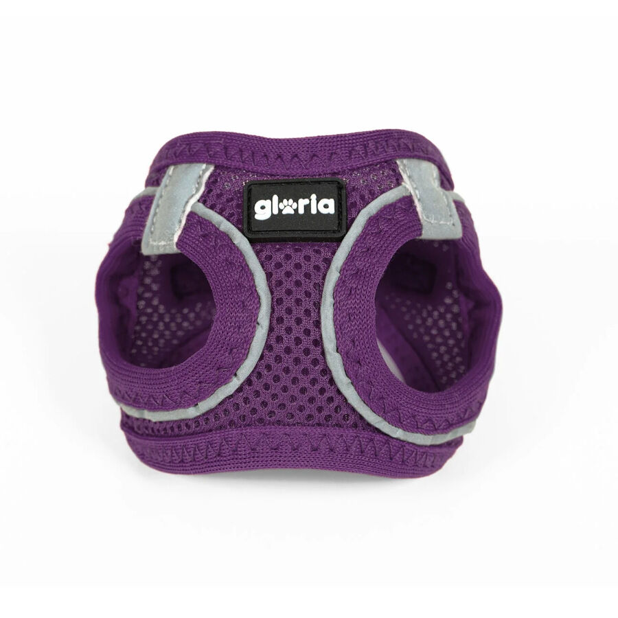 Gloria Air Mesh Trek Star Peitoral Roxo para c&atilde;es, , large Imagem n&uacute;mero 1