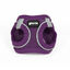 Gloria Air Mesh Trek Star Peitoral Roxo para cães, , large Indicador imagem número 1