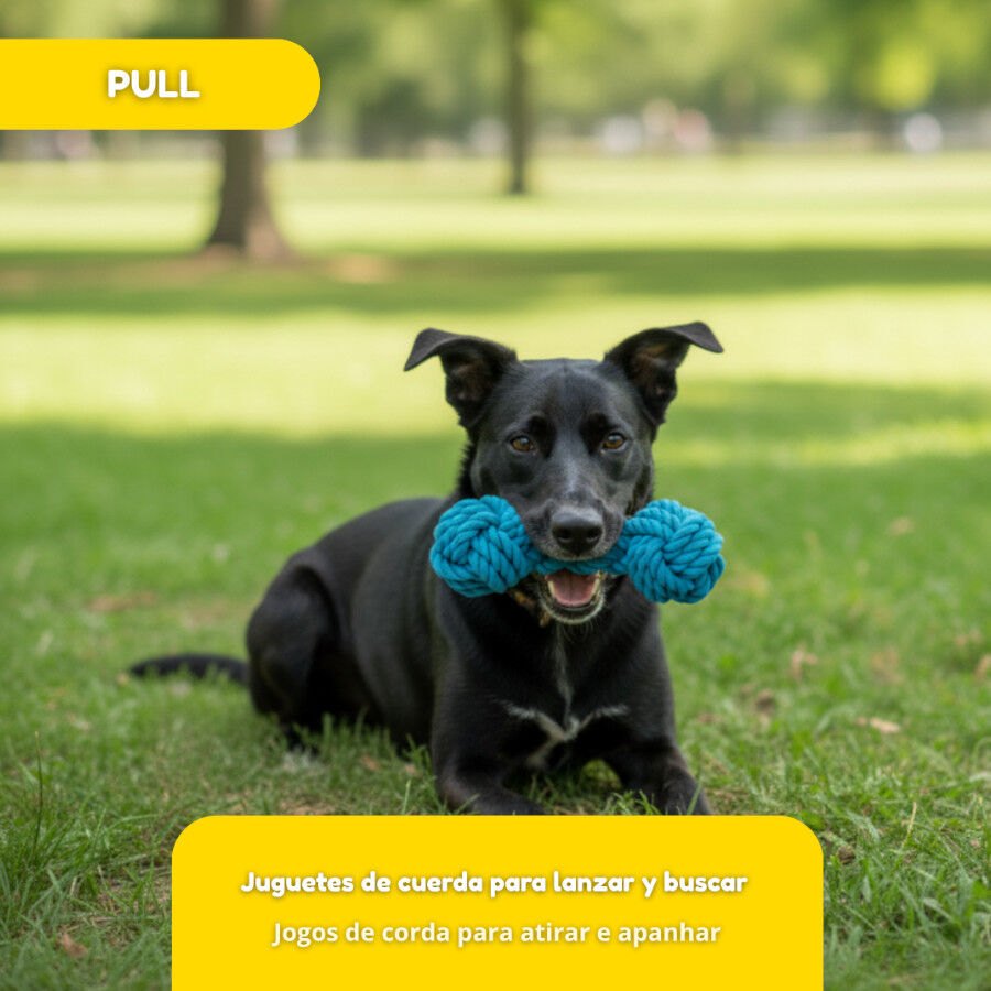 Tootoy! Pull Mordedor corda com par de bolas para c&atilde;es, , large Imagem n&uacute;mero 5