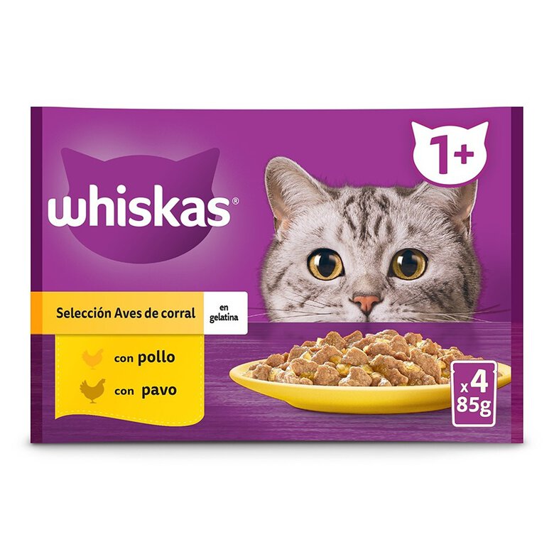 12 saquetas x 85 g Whiskas Sabor Aves Geleia em Saqueta para Gatos,  Imagem número 1 12 saquetas x 85 g Whiskas Sabor Aves Geleia em Saqueta para Gatos, , large Imagem número 1