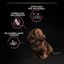 Pro Plan Puppy Small & Mini OptiDerma Salmão ração, , large Indicador imagem número 3