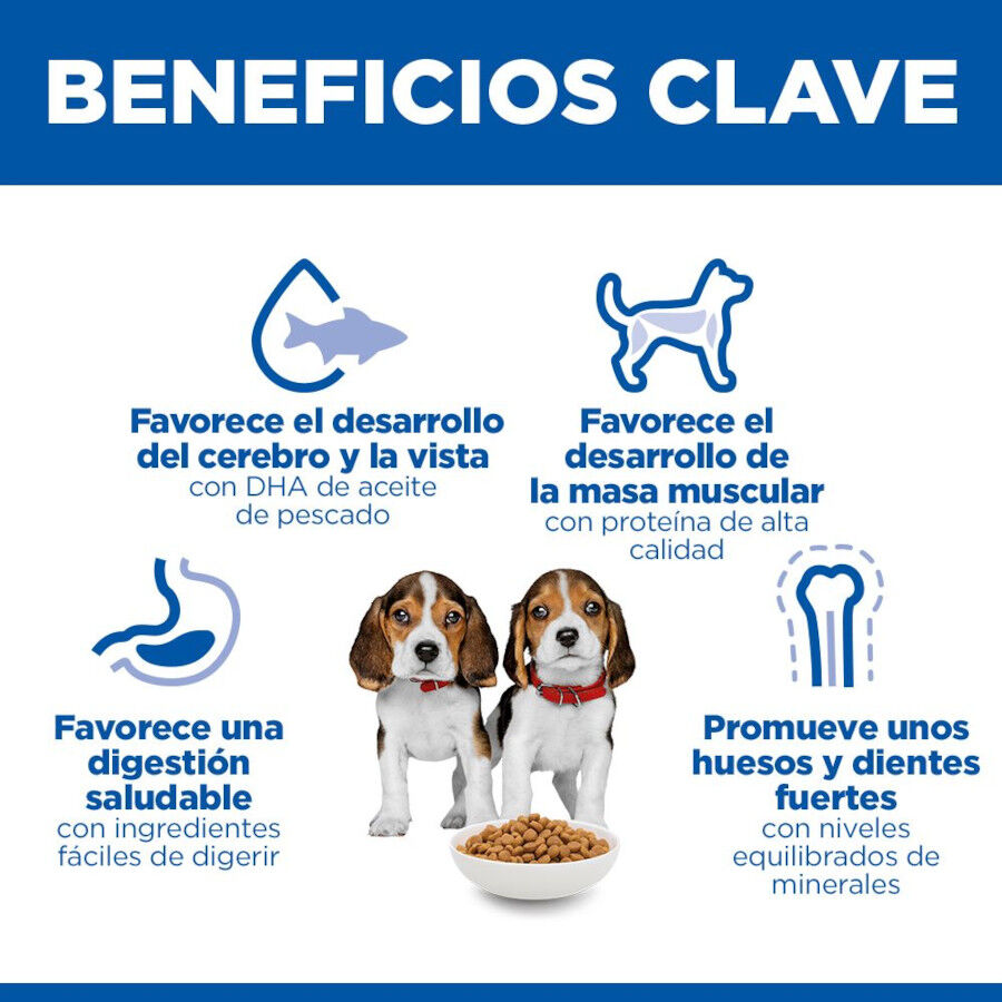 2.5 kg Hill's Science Plan Puppy Medium Ra&ccedil;&atilde;o de cordeiro e arroz para c&atilde;es, , large Imagem n&uacute;mero 5