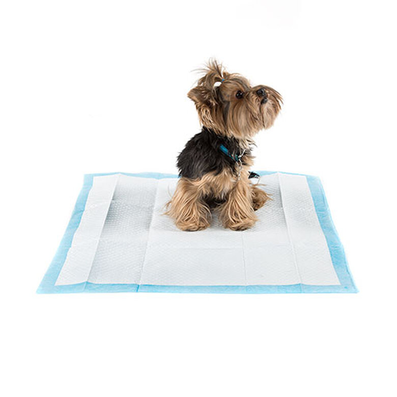 TK Pet elimina-olores empapadores para perros image number null