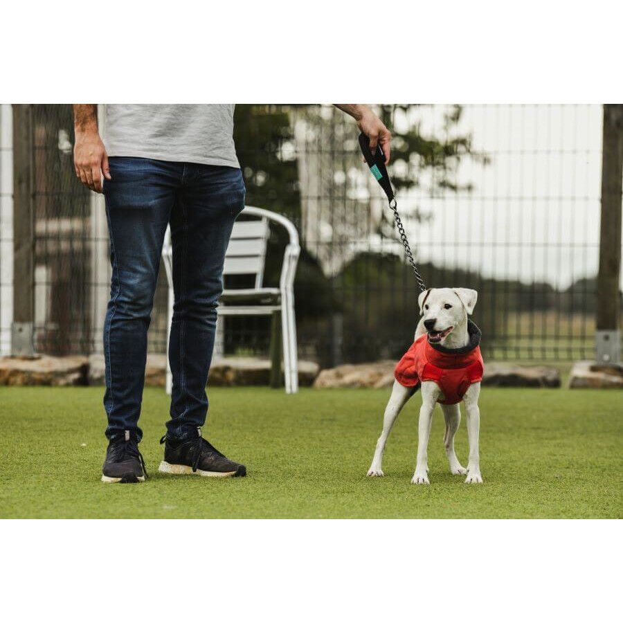 Casaco imperme&aacute;vel vermelho Freedog Oymyakon com arn&ecirc;s para c&atilde;es, , large Imagem n&uacute;mero 3