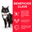 Hill's Mature Adult Science Plan Sterilised Frango ração para gatos, , large Indicador imagem número 8