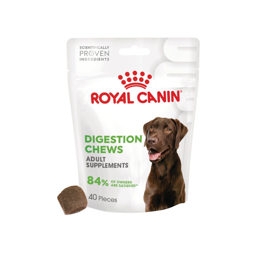 160 g Royal Canin Digestion Chews Suplemento Nutricional para c&atilde;es com sensibilidade, , large Imagem n&uacute;mero 1