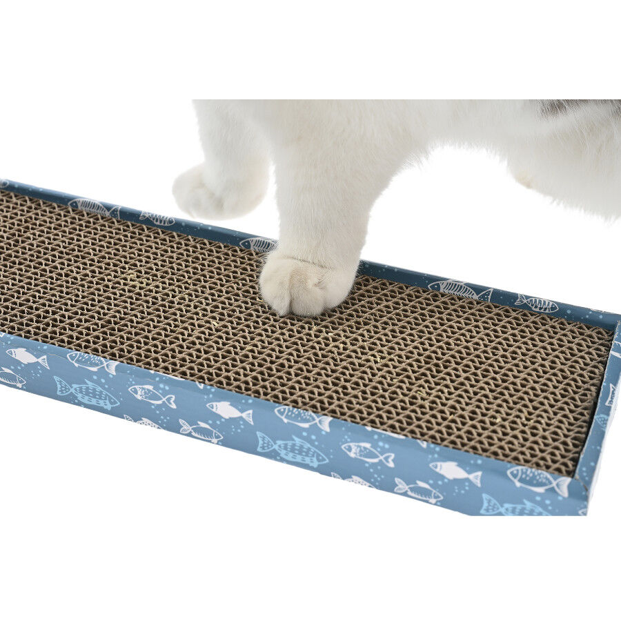 Leeby Fitz t&aacute;bua arranhadora de cart&atilde;o azul para gatos, , large Imagem n&uacute;mero 3