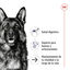 15 kg Royal Canin Maxi Ageing 8+ ração para cães, , large Indicador imagem número 5