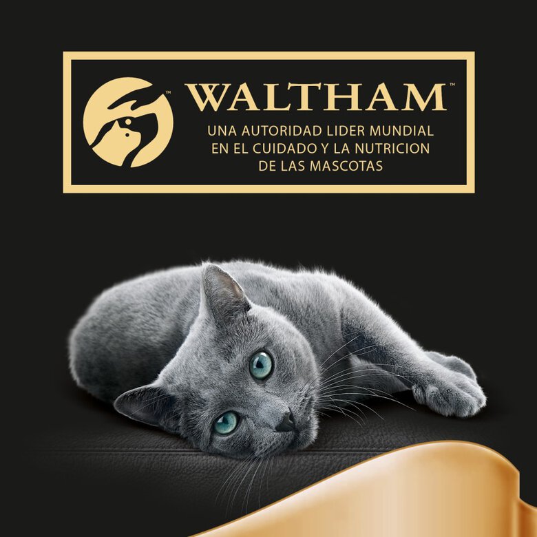 Sheba Selezione Pescados Salsa en Bolsita para Gatos - Multipack , , large image number null