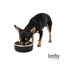 Leeby Comedouro de Parede Dupla em A&ccedil;o Inoxid&aacute;vel para c&atilde;es e gatos